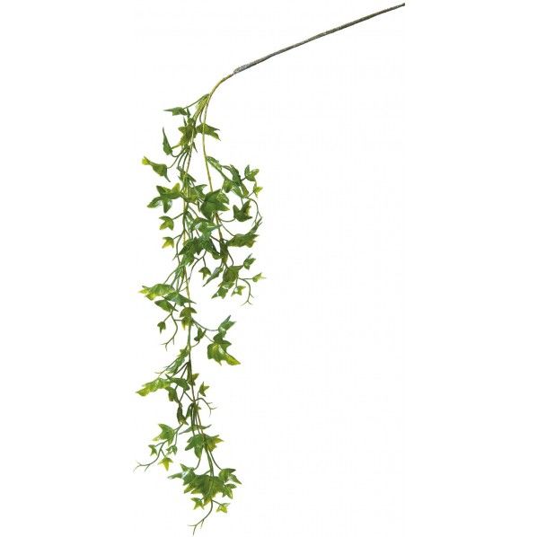 アイビーハンガー