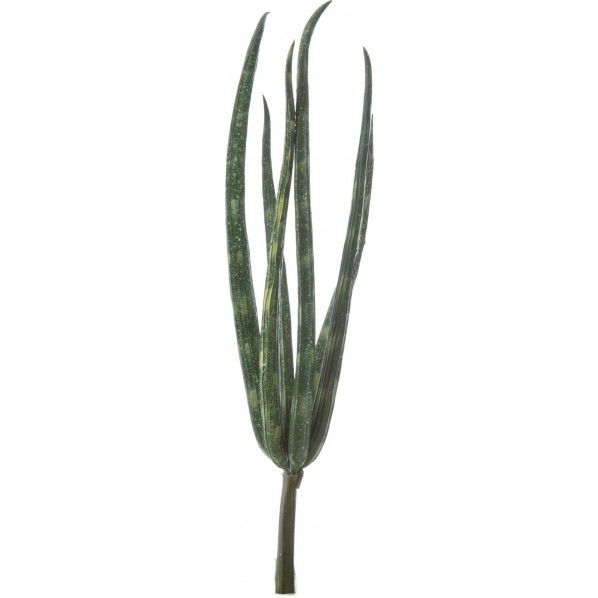 サンセベリアピック DGR 便利グッズ（文具・OA機器） FG -4856 1本