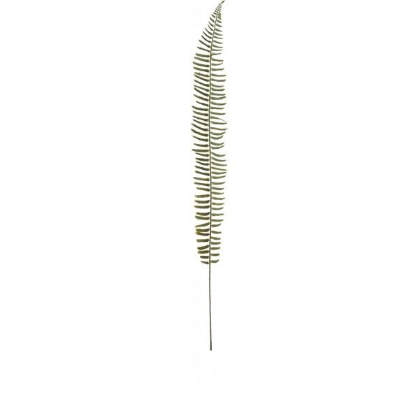 ソテツM GR 便利グッズ(文具・OA機器) FG -4861 1本