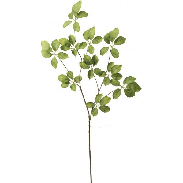 ムベブランチ GR 便利グッズ(文具・OA機器) FG -4879 1本