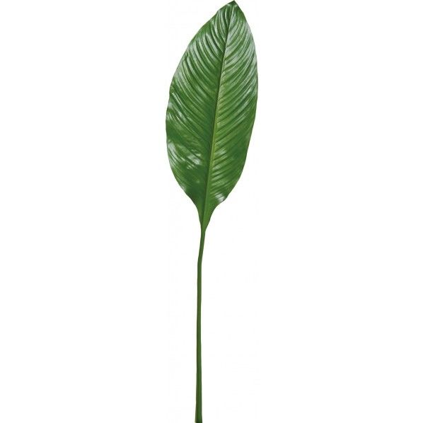 バナナリーフ GR 便利グッズ（文具・OA機器） FG -4883 1本