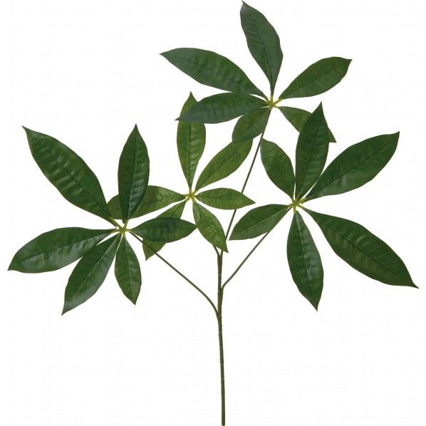 パキラリーフスプレー GR 便利グッズ(文具・OA機器) FG -4903 1本