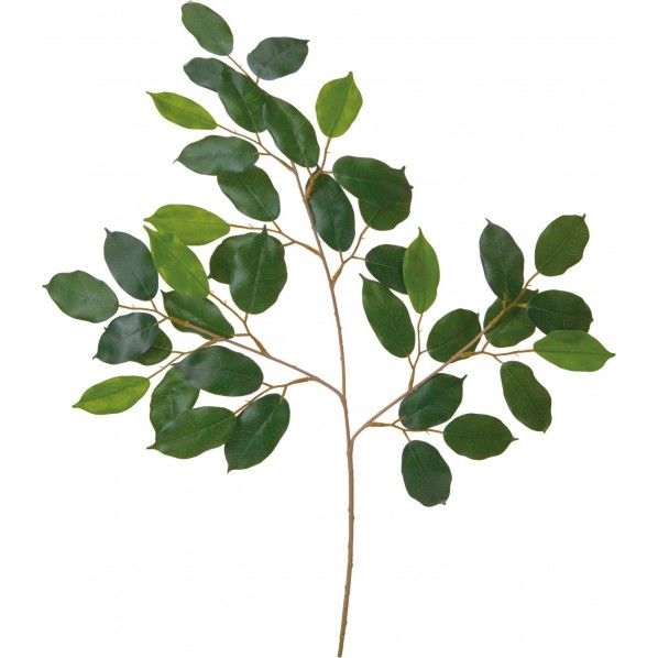 ベンジャミンスモールリーフスプレー GR 便利グッズ（文具・OA機器） FG -4904 1本