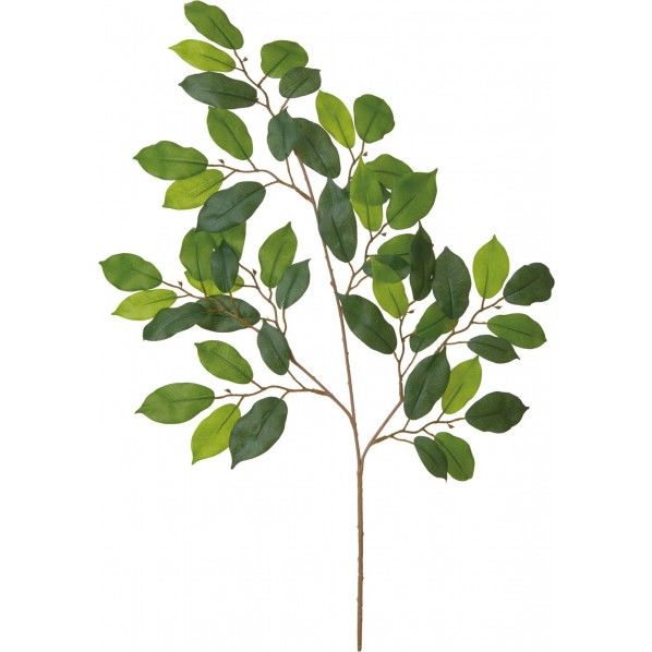 ベンジャミンリーフスプレー GR 便利グッズ(文具・OA機器) FG -4905 1本