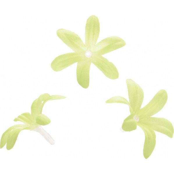 アフリカンリリー L/G 便利グッズ（文具・OA機器） FLP-1000 1箱