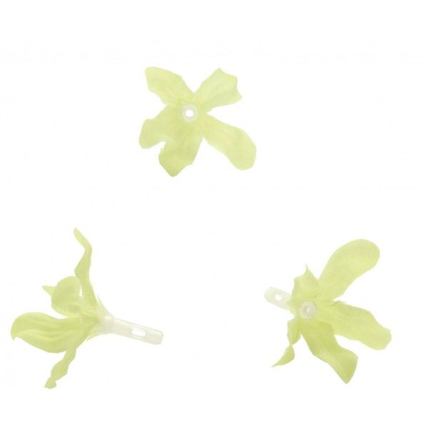 ブルースター L/G 便利グッズ(文具・OA機器) FLP-1050 1箱