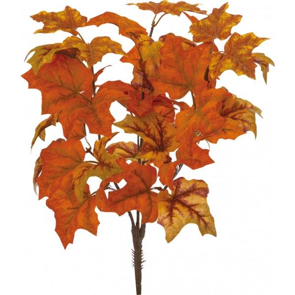 メープルブッシュ