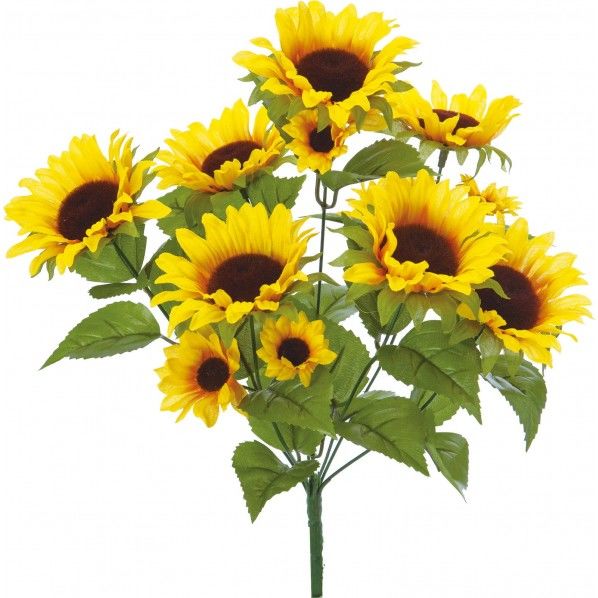 ヒマワリブッシュ