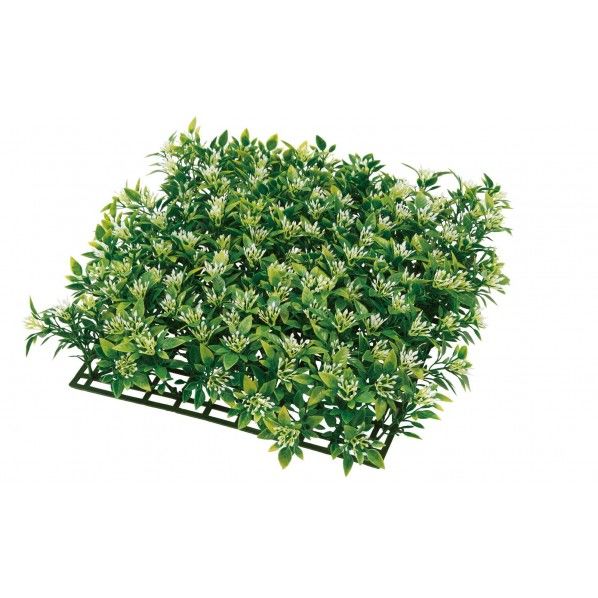 ボックスウッドマット