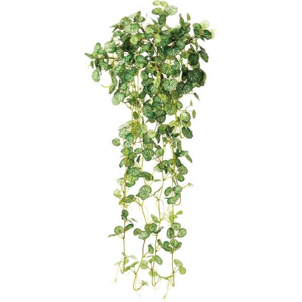 ツワブキブッシュバイン 便利グッズ(文具・OA機器) GL -4944P 1本