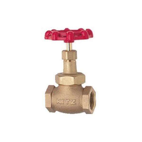 RC  2   グローブバルブ(青銅製) EA470CA-80 1個