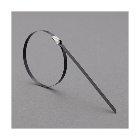 ※法人専用品※エスコ 4.6x152mm 結束バンド(SUS316/コーティング/10本 EA463FW-202 1袋