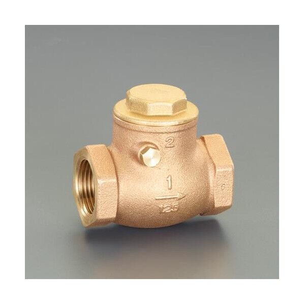 1 スイングチャッキバルブ(青銅製) EA465A-60 1個