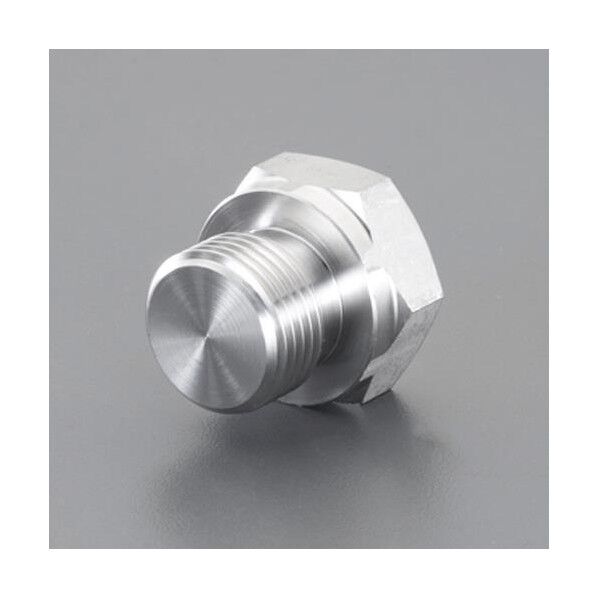 G 1インチ  六角プラグ(ステンレス製)