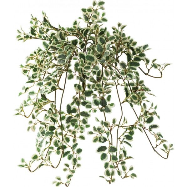 ツートンプミラハンギングブッシュ GR 便利グッズ（文具・OA機器） GL -4991 1本