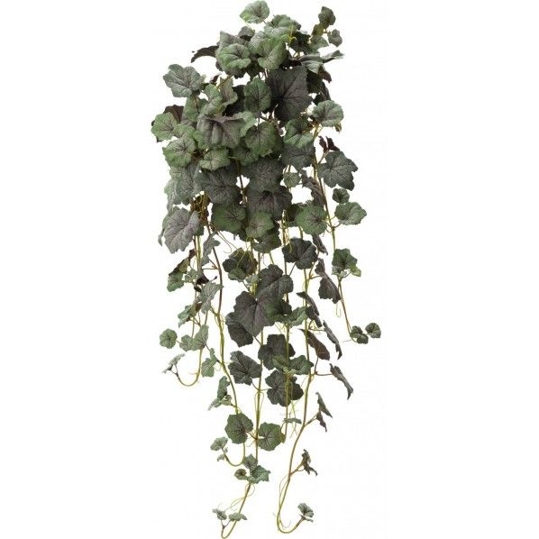 グレープハンギングブッシュ GR 便利グッズ（文具・OA機器） GL -4993 1本