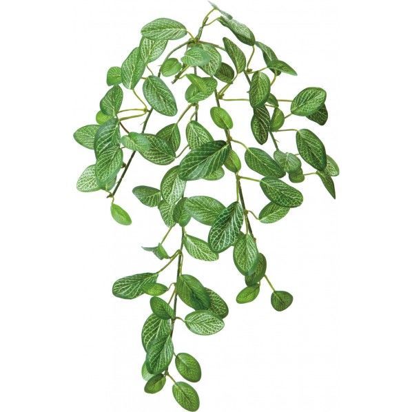 フィトニア*5 便利グッズ（文具・OA機器） GL -5027 1本