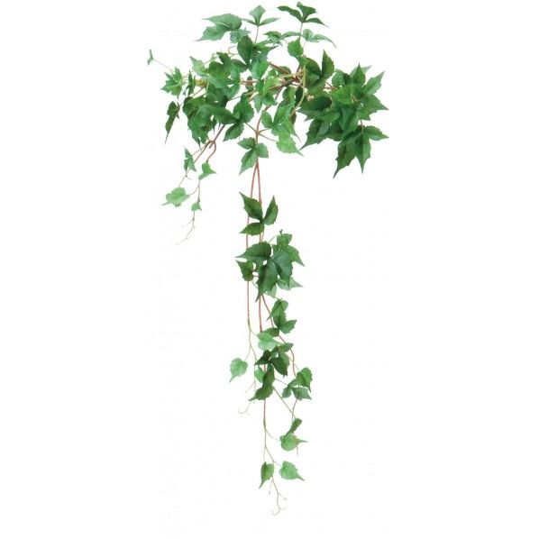 バインメープルアイビーハンギングS GR 36cm GL -5033 1本
