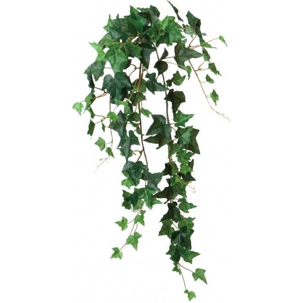 アイビーハンギングM GR 28cm GL -5048 1本