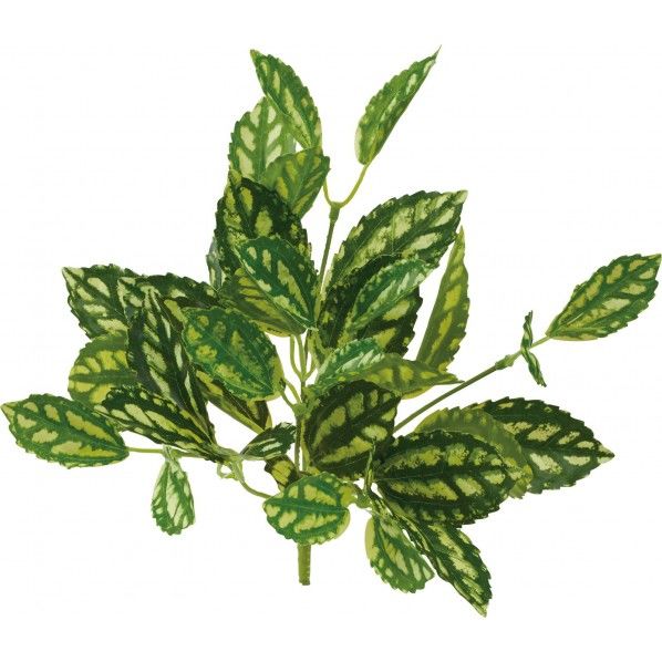 クリアウィードリーフブッシュ GR 便利グッズ(文具・OA機器) GL -5142 1本