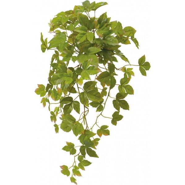 シサスアイビーブッシュ GR 便利グッズ(文具・OA機器) GL -5145 1本