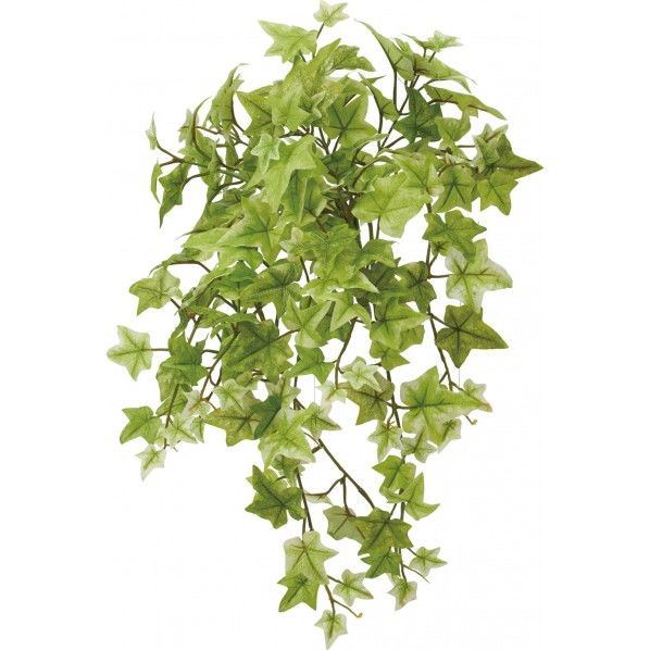 セージアイビーブッシュ LGR 便利グッズ（文具・OA機器） GL -5146 1本