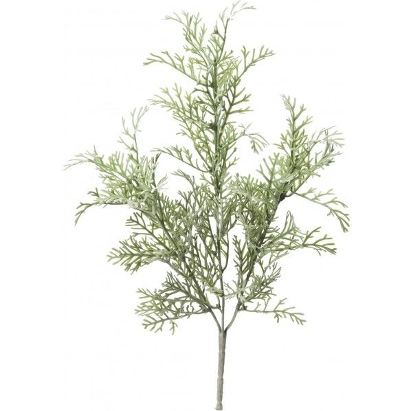 フロックファーンブッシュ GR 便利グッズ(文具・OA機器) GL -5171 1本