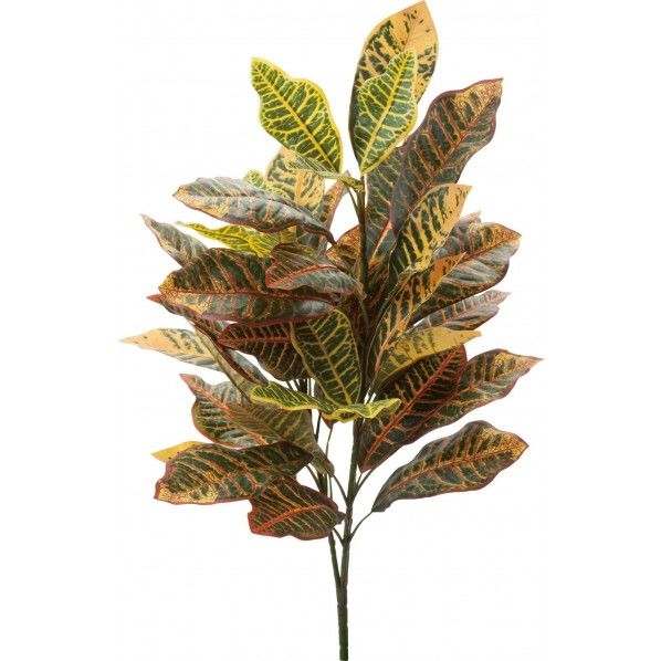 ビッグクロトンブッシュ Y/G 便利グッズ(文具・OA機器) GL -5180 1本