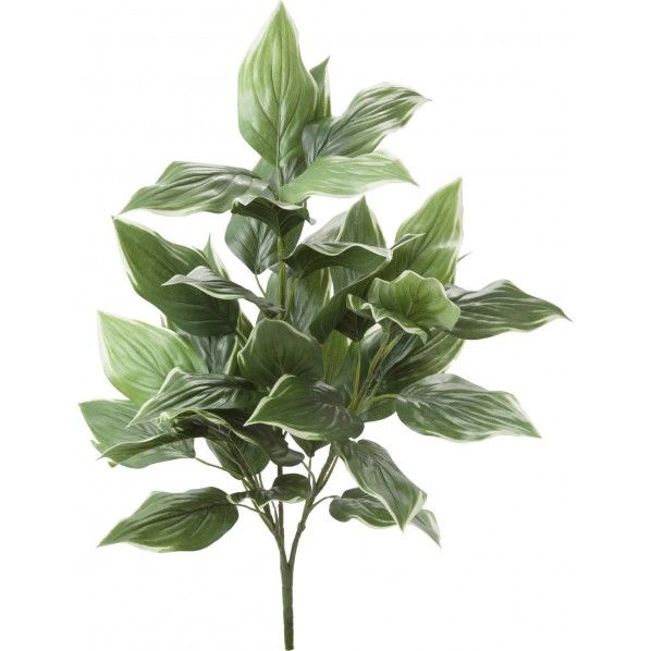 ビッグホスタブッシュ GR 便利グッズ（文具・OA機器） GL -5181 1本