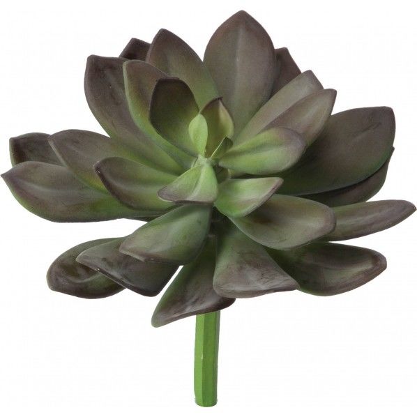 アテヌアータピックL R/G 便利グッズ(文具・OA機器) GL -5191 1本