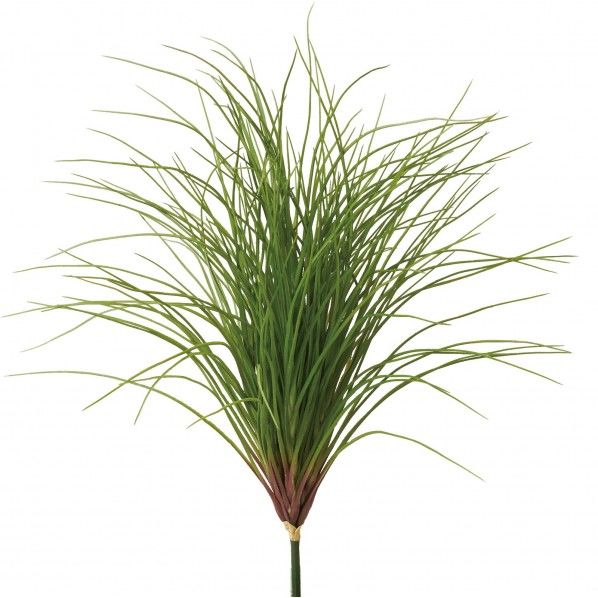 カーリーグラスブッシュ GR 便利グッズ（文具・OA機器） GL -5197 1本