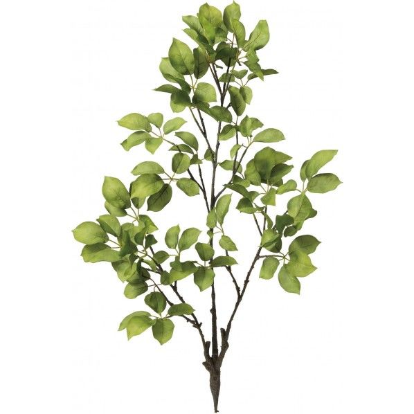 ムベツリーブランチ GR 便利グッズ（文具・OA機器） GL -5202 1本