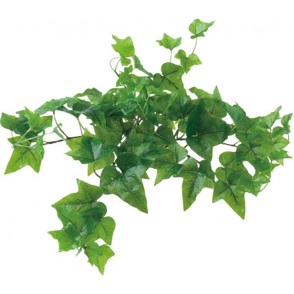 ロックプランツ アイビーS GR 便利グッズ(文具・OA機器) GL -MB016 1個