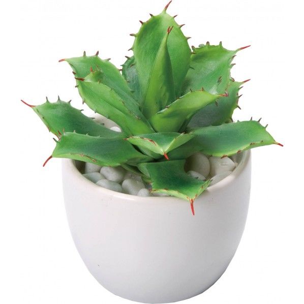 アガベポタトラムポット 便利グッズ（文具・OA機器） GLA-1195 1個