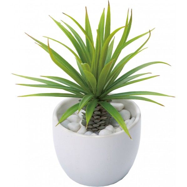 ダシーリリオイデスポット 便利グッズ(文具・OA機器) GLA-1196 1個