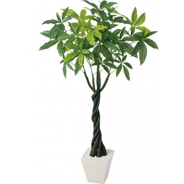 パキラポット(L) 便利グッズ(文具・OA機器) GLA-1197 1本