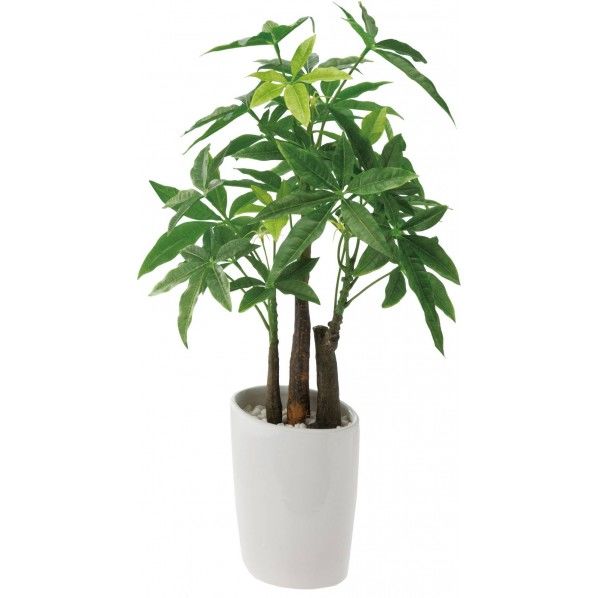 ロングパキラオーバルポット 便利グッズ(文具・OA機器) GLA-1229 1個