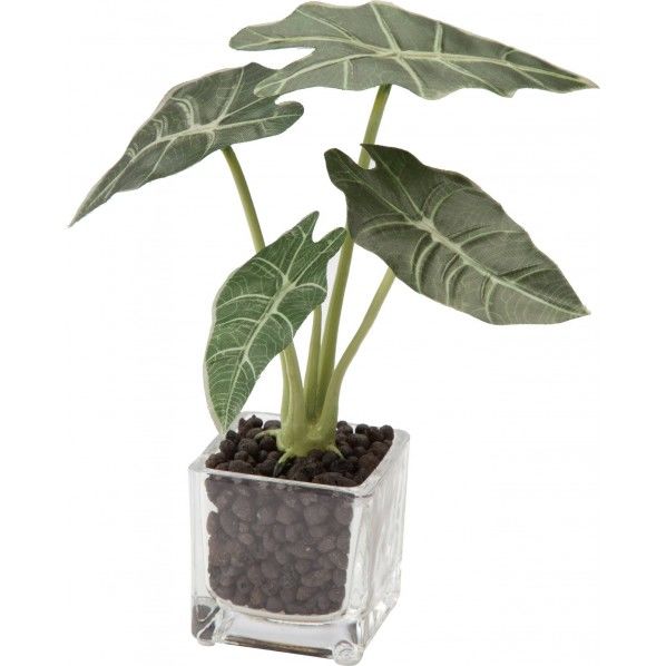 アロカシアグラスポット GR 便利グッズ（文具・OA機器） GLA-1304 1個