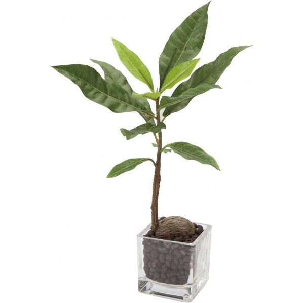 クロトングラスポット GR 便利グッズ(文具・OA機器) GLA-1305 1個