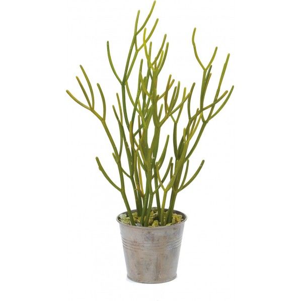 ミルクサンゴポットM GR 便利グッズ(文具・OA機器) GLA-1359 1個