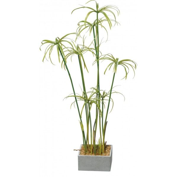 シペラスポット GR 便利グッズ(文具・OA機器) GLA-1363 1個