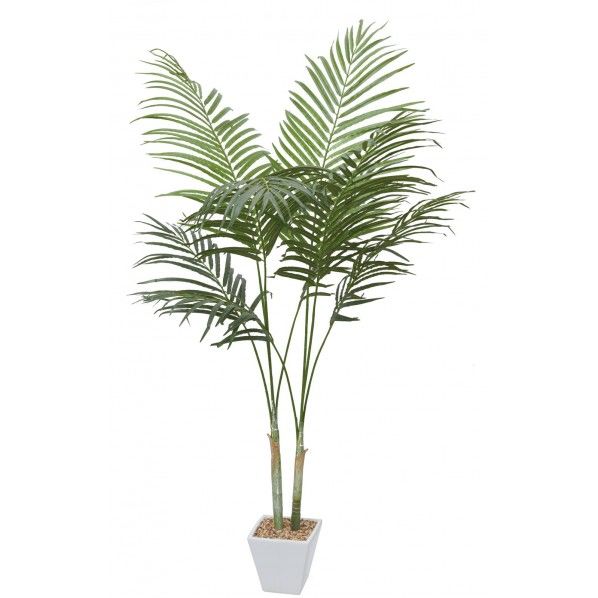 アレカパーム GR 便利グッズ(文具・OA機器) GLA-1369 1本