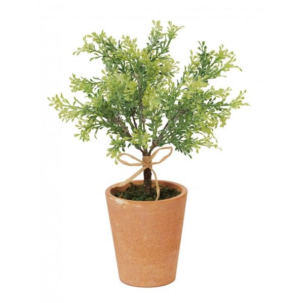 プラスチックリーフポット