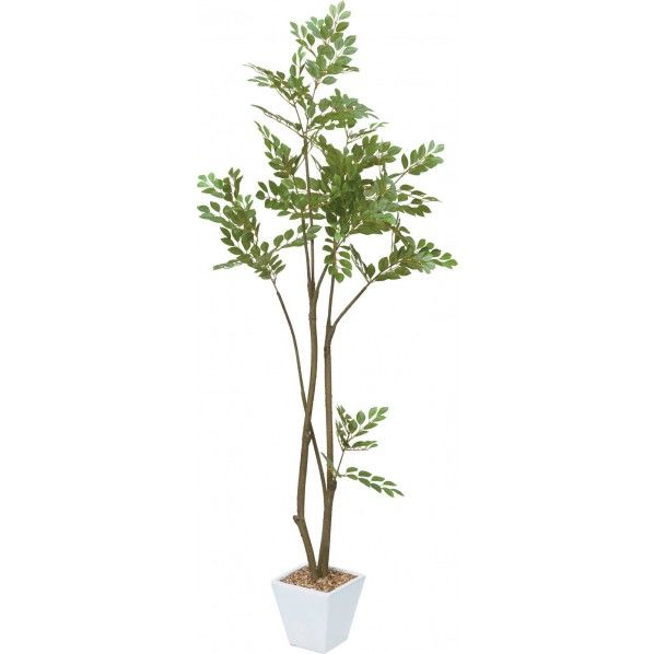 トネリコツリーポット GR 便利グッズ（文具・OA機器） GLA-1387 1個