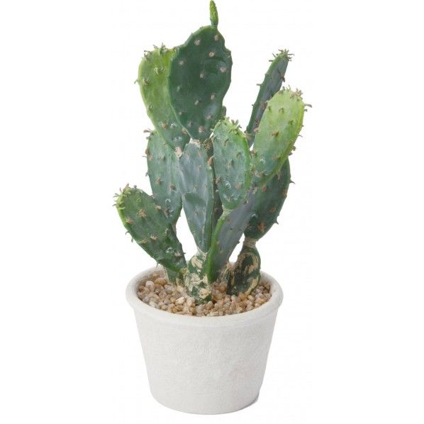 オプンティアポット GR 便利グッズ（文具・OA機器） GLA-1433 1個