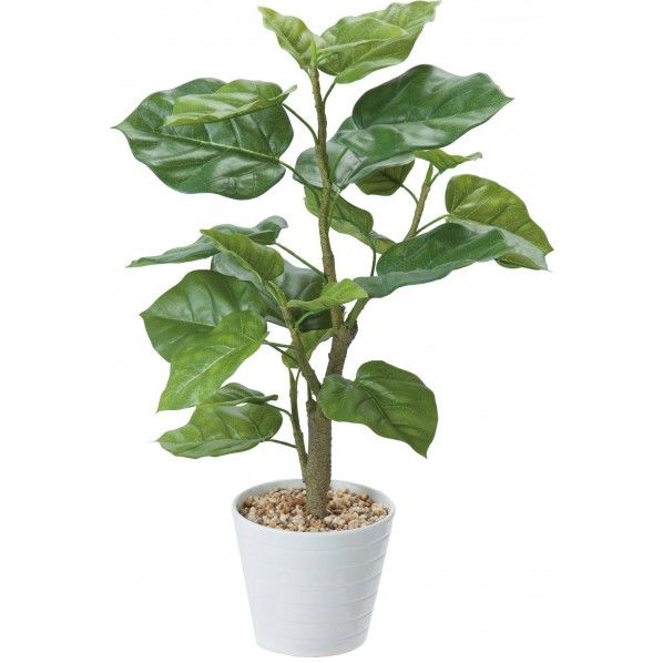 ウンベラータポット GR 便利グッズ(文具・OA機器) GLA-1440 1個