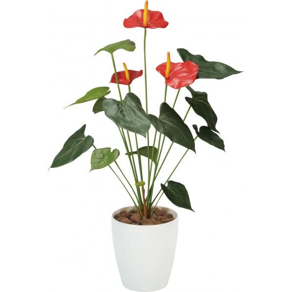 アートアンスリューム70CM W 便利グッズ(文具・OA機器) GLAA-002 1本