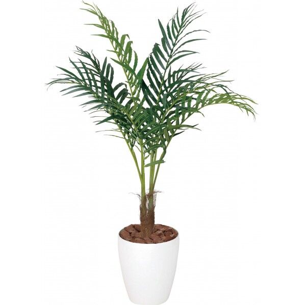 アレカパーム1.1M W 便利グッズ(文具・OA機器) GLAA-007 1本