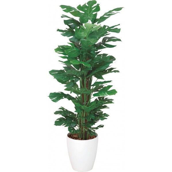 スプリット1.2M W 便利グッズ（文具・OA機器） GLAA-009 1本