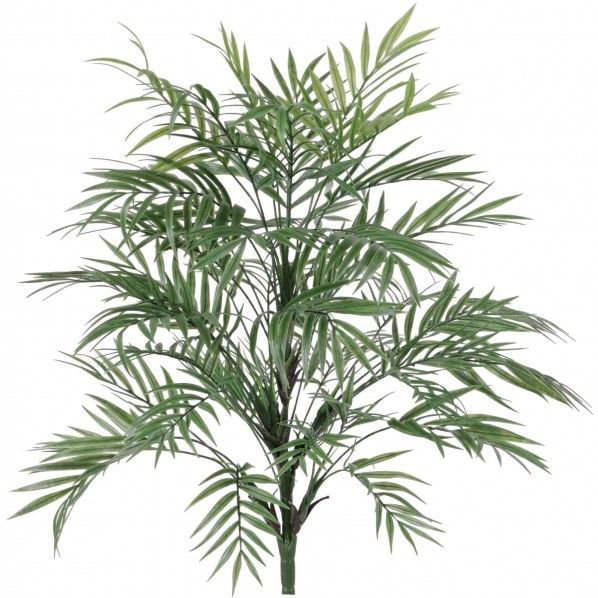 パーラーパーム 便利グッズ(文具・OA機器) GLKK-1135 1本